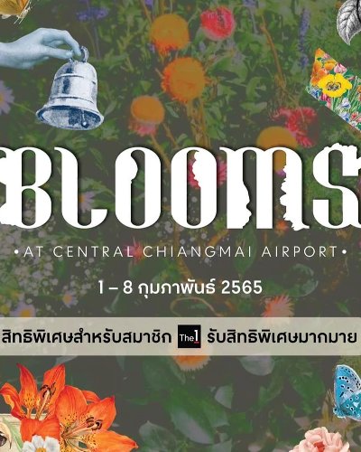 Blooms Market Zipevent