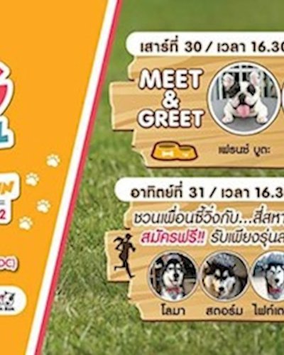 CDC DOG Carnival 2019 Ep. Friend Fun Run Zipevent