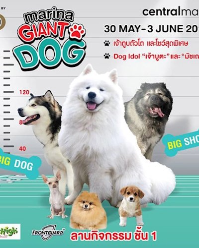 Marina Giant Dog Zipevent