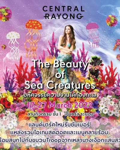 The Beauty of Sea Creatures Zipevent