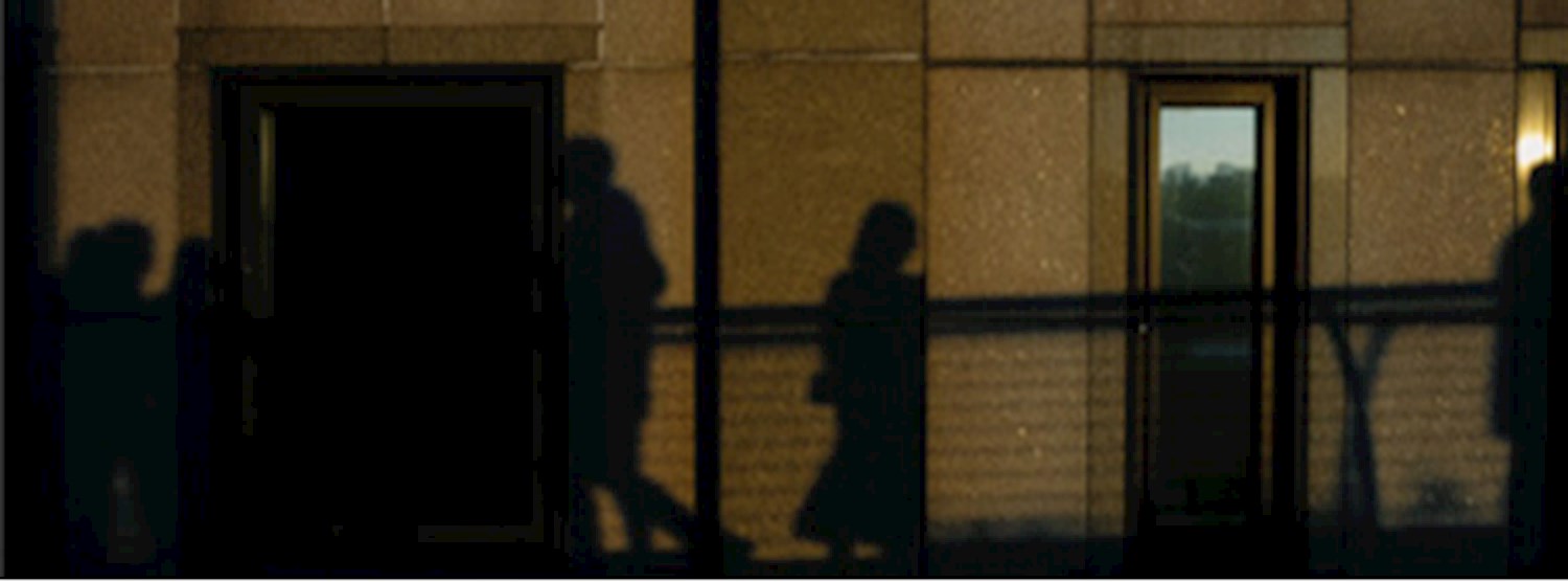 The Temporary Observer Zipevent