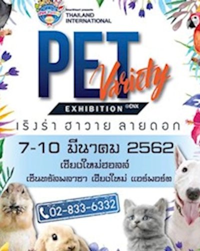 Thailand International Pet Variety Exhibition เชียงใหม่ ครั้งที่ 8 ตอน เริงร่า ฮาวาย ลายดอก! Zipevent