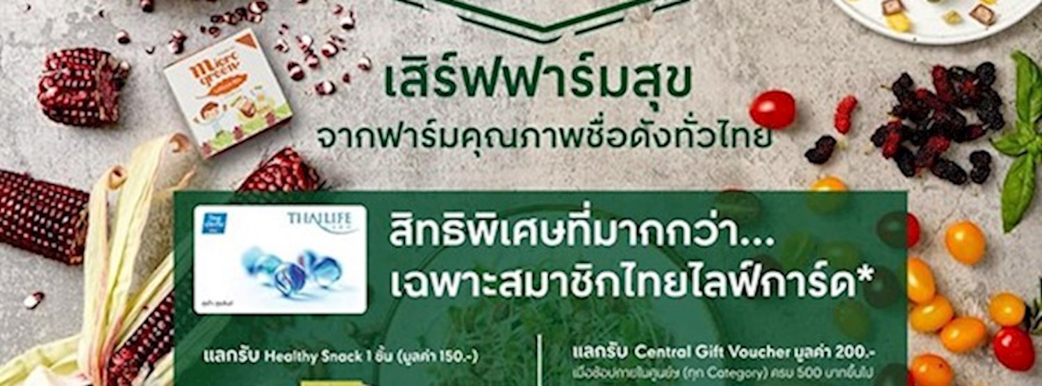 The Farm 2019 Zipevent