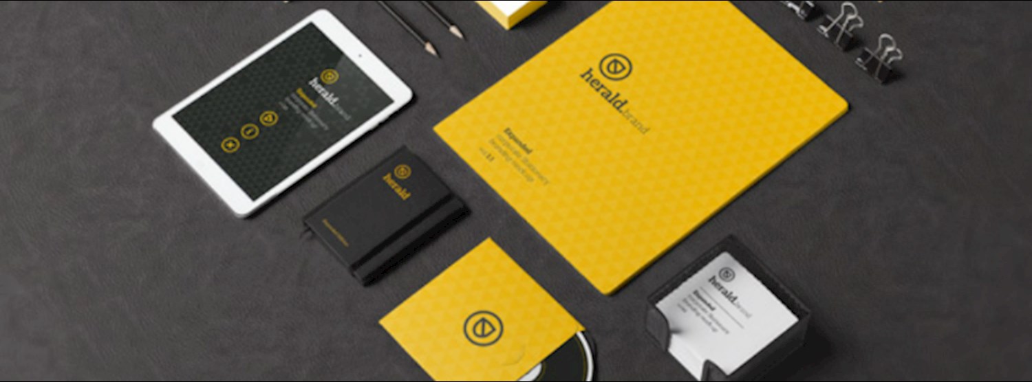 Business Brand Design & Kit Zipevent