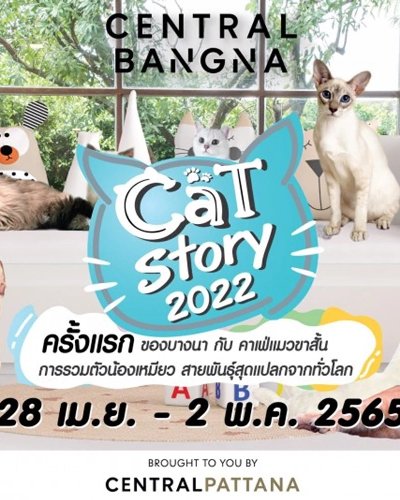 Cat Story 2022 Zipevent