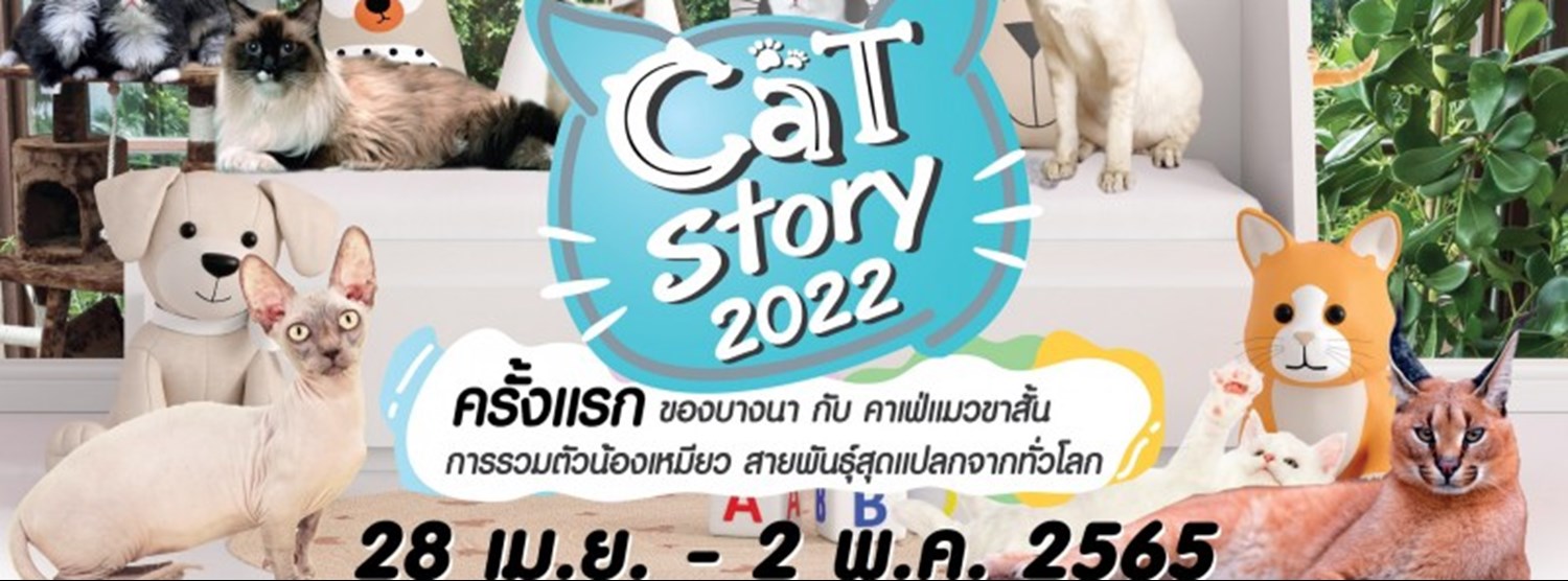 Cat Story 2022 Zipevent
