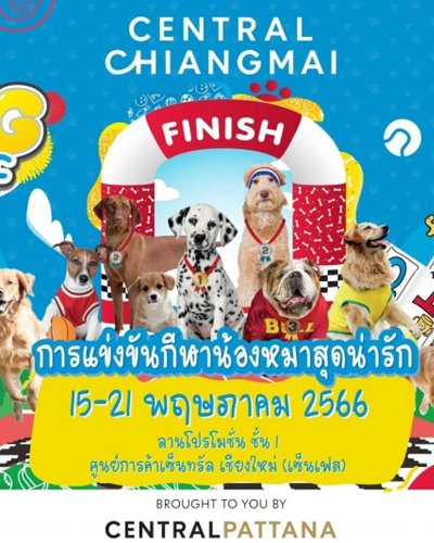 DOG LYMPIC Zipevent