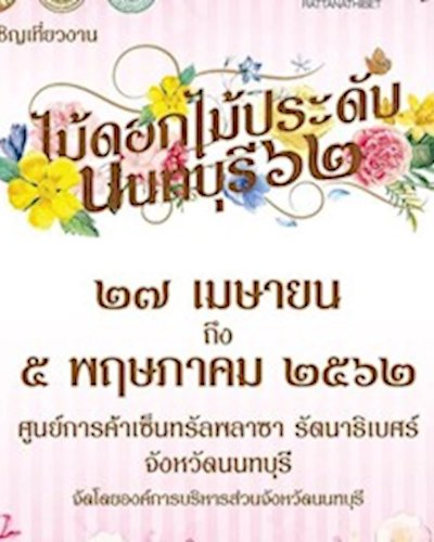 ไม้ดอกไม้ประดับ นนทบุรี ๖๒ Zipevent