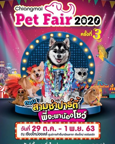 Chiangmai Pet Fair 2020 ตอน “สามช่าปาร์ตี้ พี่จะพาน้องโชว์” Zipevent