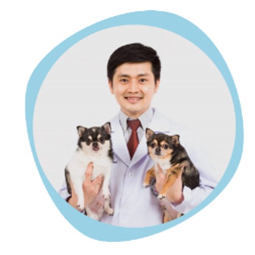 Dr. Sivavatchr P. Zipevent