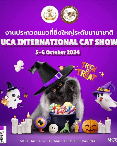 UCA Trick or Treat international Cat Show 2024 by Cat Lover Club Zipevent