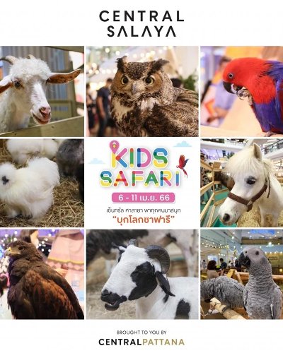 Central Salaya Kids Safari Zipevent