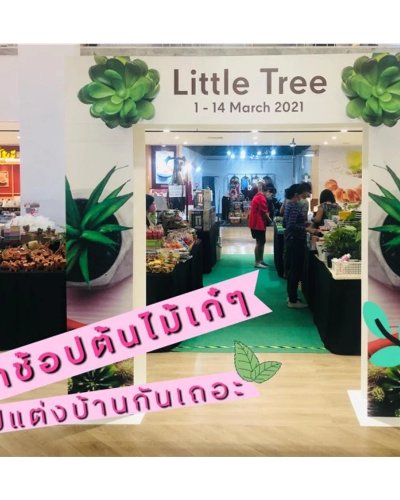 Little Tree Zipevent