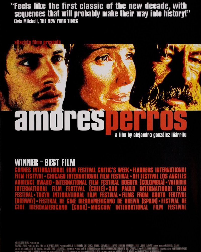 Amores Perros Zipevent