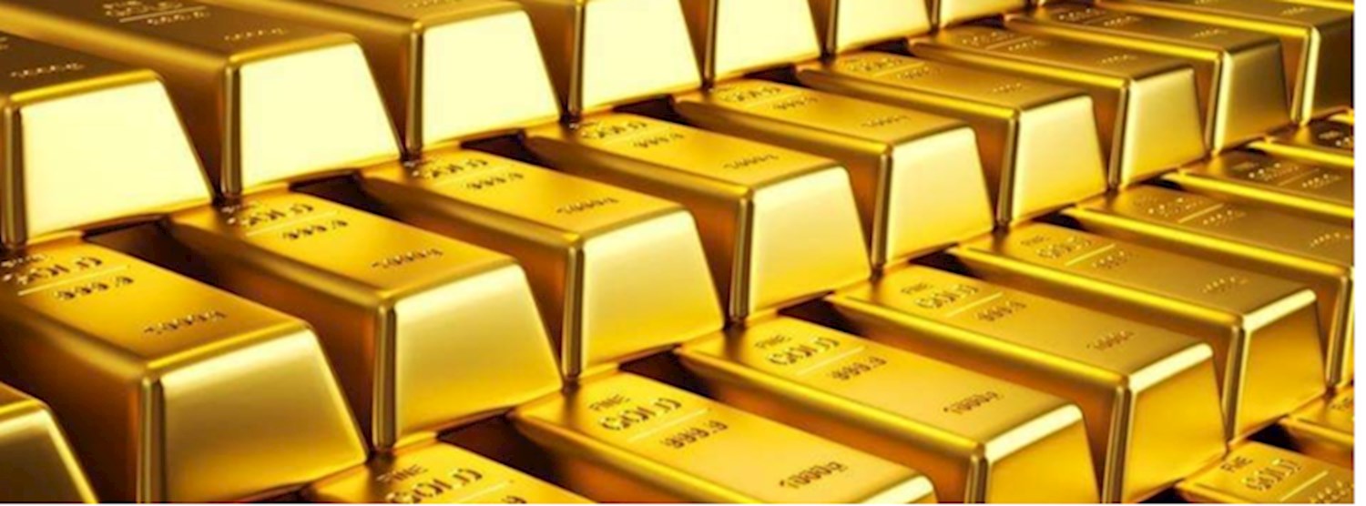  Forex Basic Foundation Training Class Zipevent