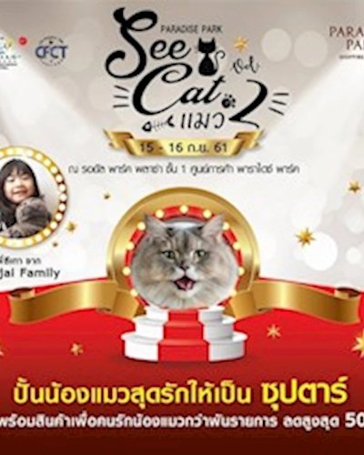 See Cat แมว 2 Zipevent