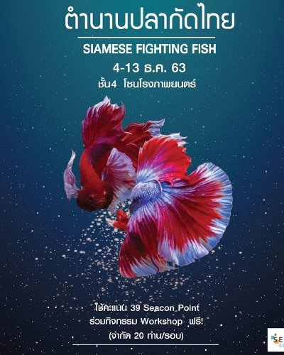 ตำนานปลากัดไทย Zipevent