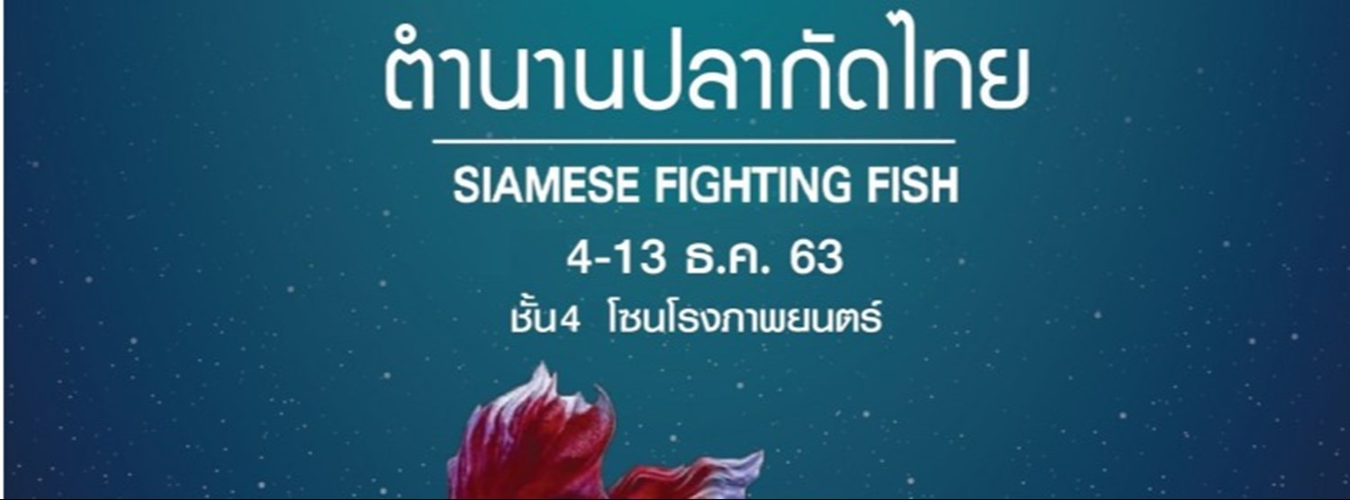 ตำนานปลากัดไทย Zipevent