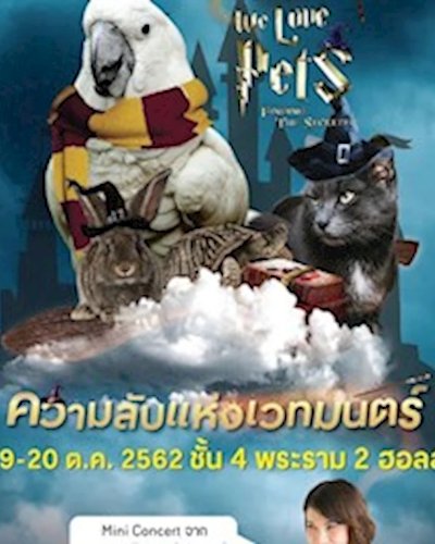We Love Pets ครั้งที่ 9 Zipevent
