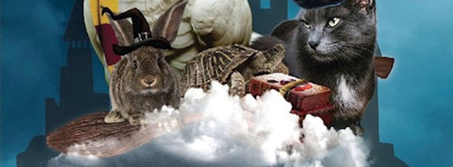 We Love Pets ครั้งที่ 9 Zipevent