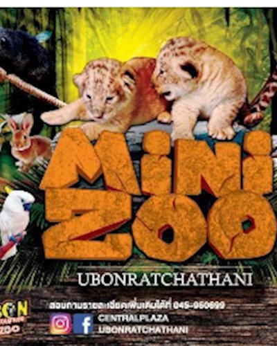 Mini Zoo Ubonratchathani Zipevent