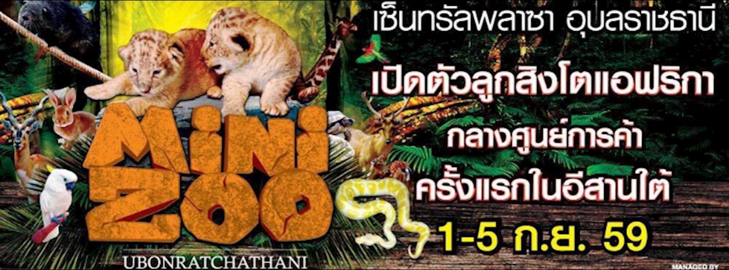 Mini Zoo Ubonratchathani Zipevent