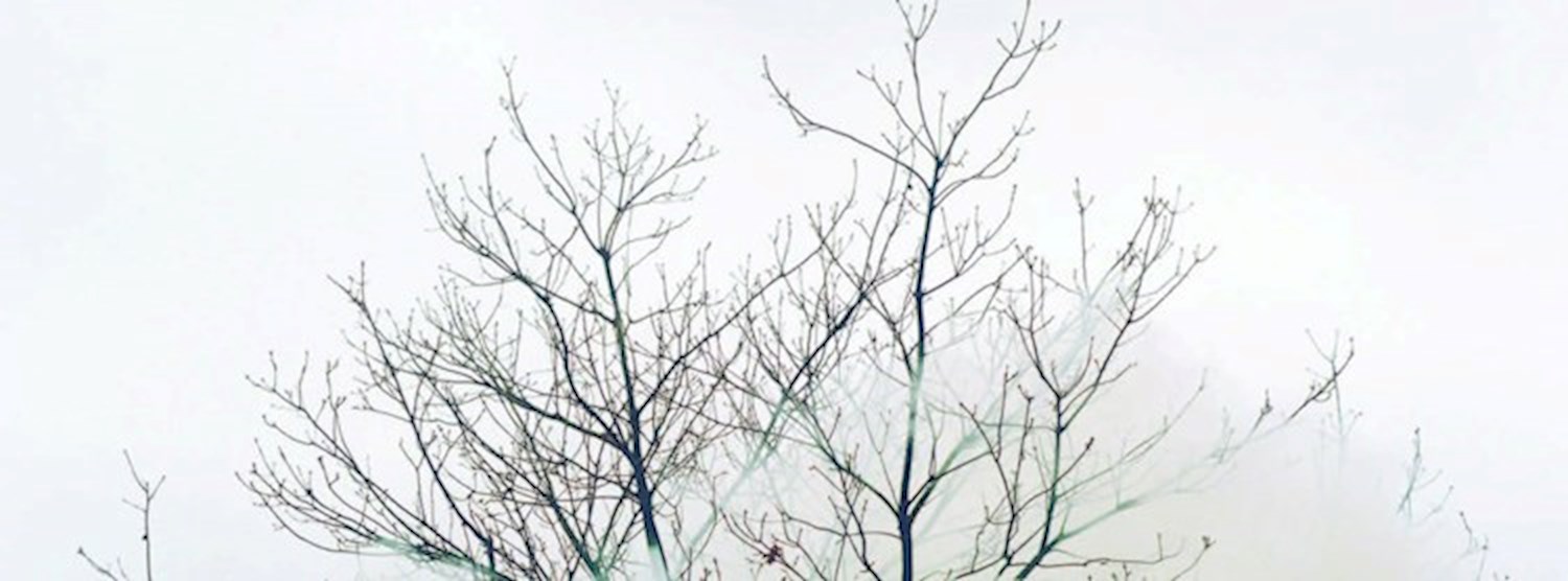 German Photography Book Award 2016 Exhibition Zipevent