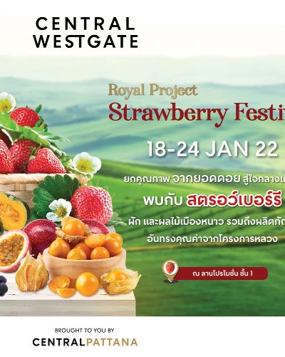 Royal Project Strawberry Festival Zipevent