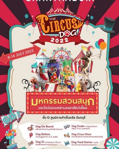 The Circus Dog 2022 Zipevent
