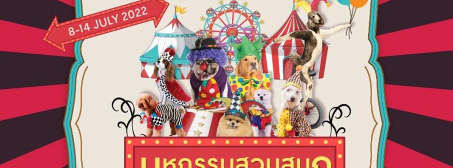 The Circus Dog 2022 Zipevent