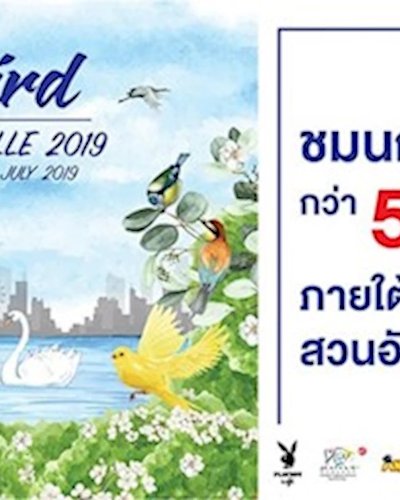 Bird Eye Ville 2019 Zipevent