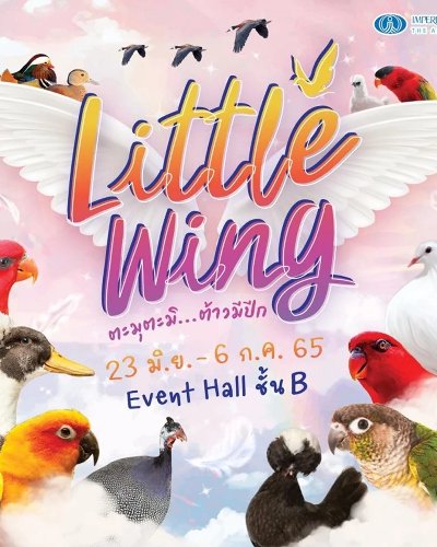 Little wing Zipevent