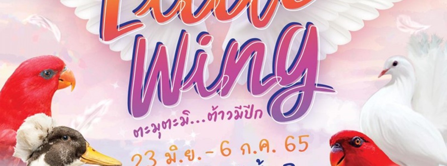 Little wing Zipevent