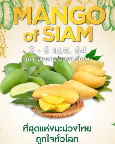 Mango of SIAM ที่สุดแห่งมะม่วงไทย ถูกใจทั่วโลก Zipevent