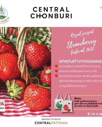 Royal Project Strawberry Festival Zipevent