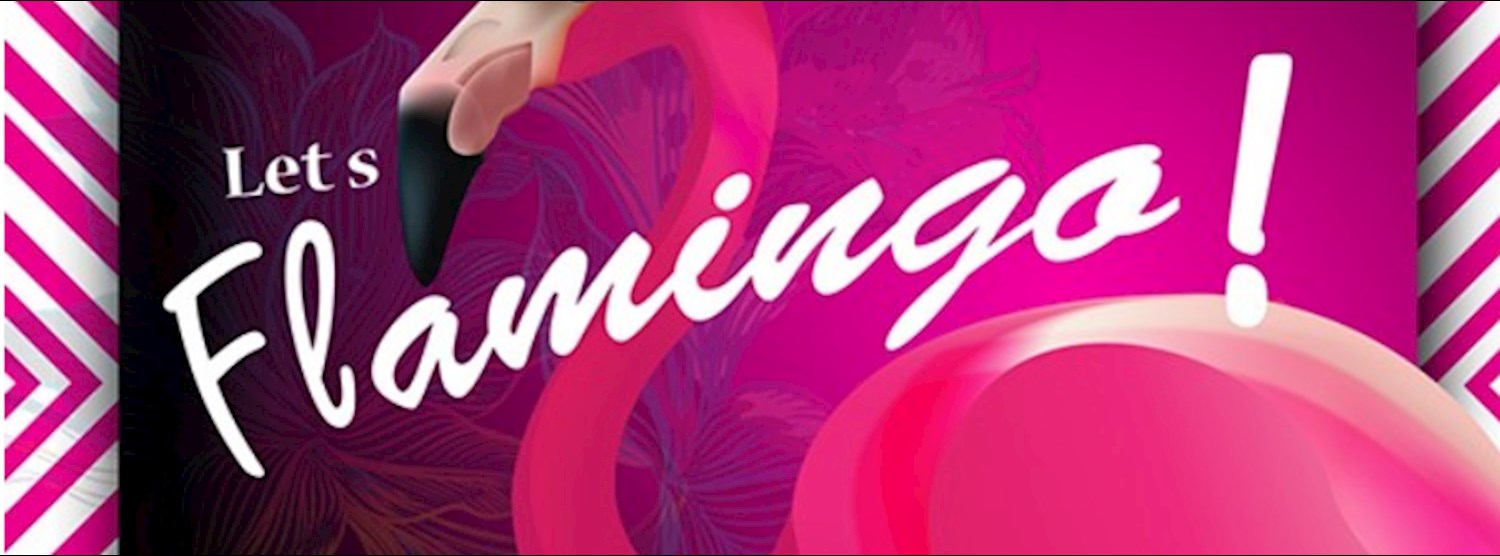 MAXNET MARKET : Let's Flamingo Zipevent