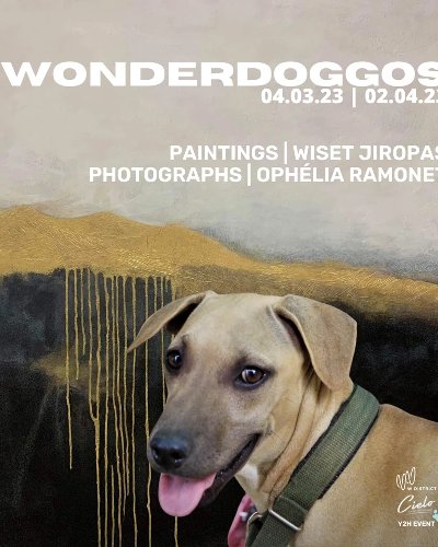 Wonderdoggos Zipevent