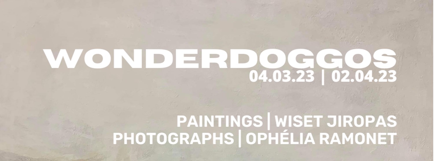 Wonderdoggos Zipevent