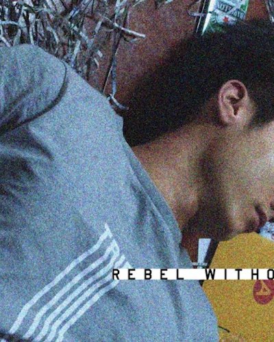 Filmvirus Wildtype X Documentary Club 01 : Rebel Without a Cause Zipevent