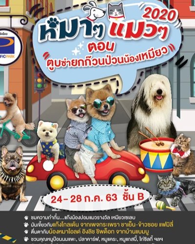 หมาๆ แมวๆ 2020 Zipevent