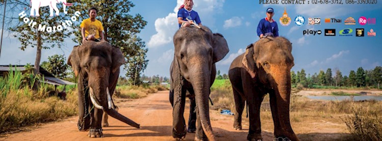 Active Run 2016 - Rmuti Surin Muang Chang Mini-Half Marathon Zipevent