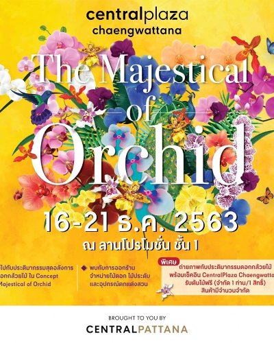 The Majestical Orchid 2020 Zipevent