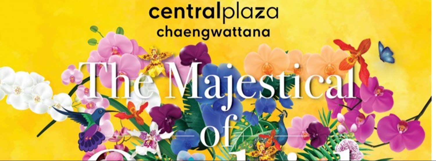 The Majestical Orchid 2020 Zipevent