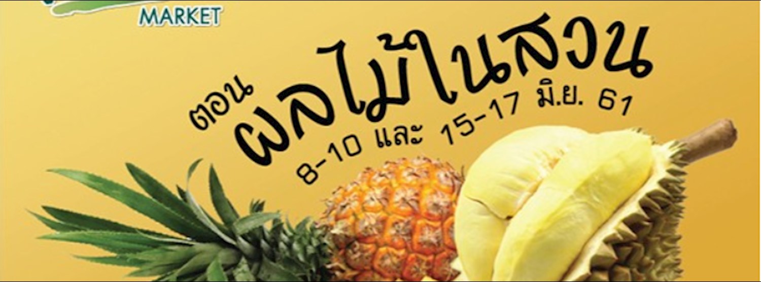 Victoria Market ตอน ผลไม้ในสวน Zipevent