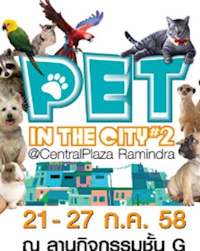 Pet in the City #2 Zipevent
