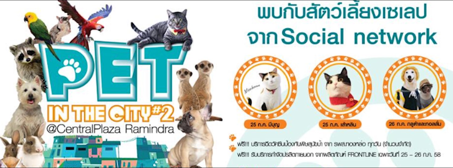 Pet in the City #2 Zipevent