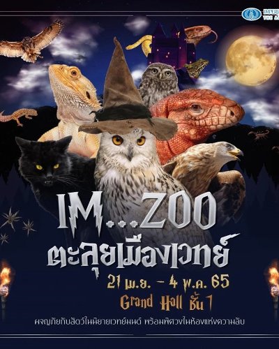 IM ZOO ตะลุยเมืองเวทย์ Zipevent