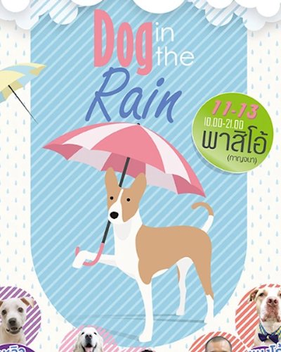 หมาติดเที่ยว ตอน DOG IN THE RAIN Zipevent