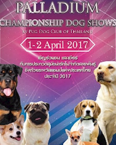 Palladium Championship Dog Show by Pug Dog Club Of Thailand Zipevent