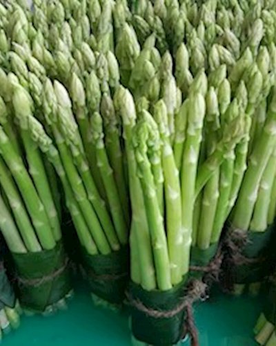 Bangkok Farmer's Market at Habito Mall Oct 7th - 8th Zipevent